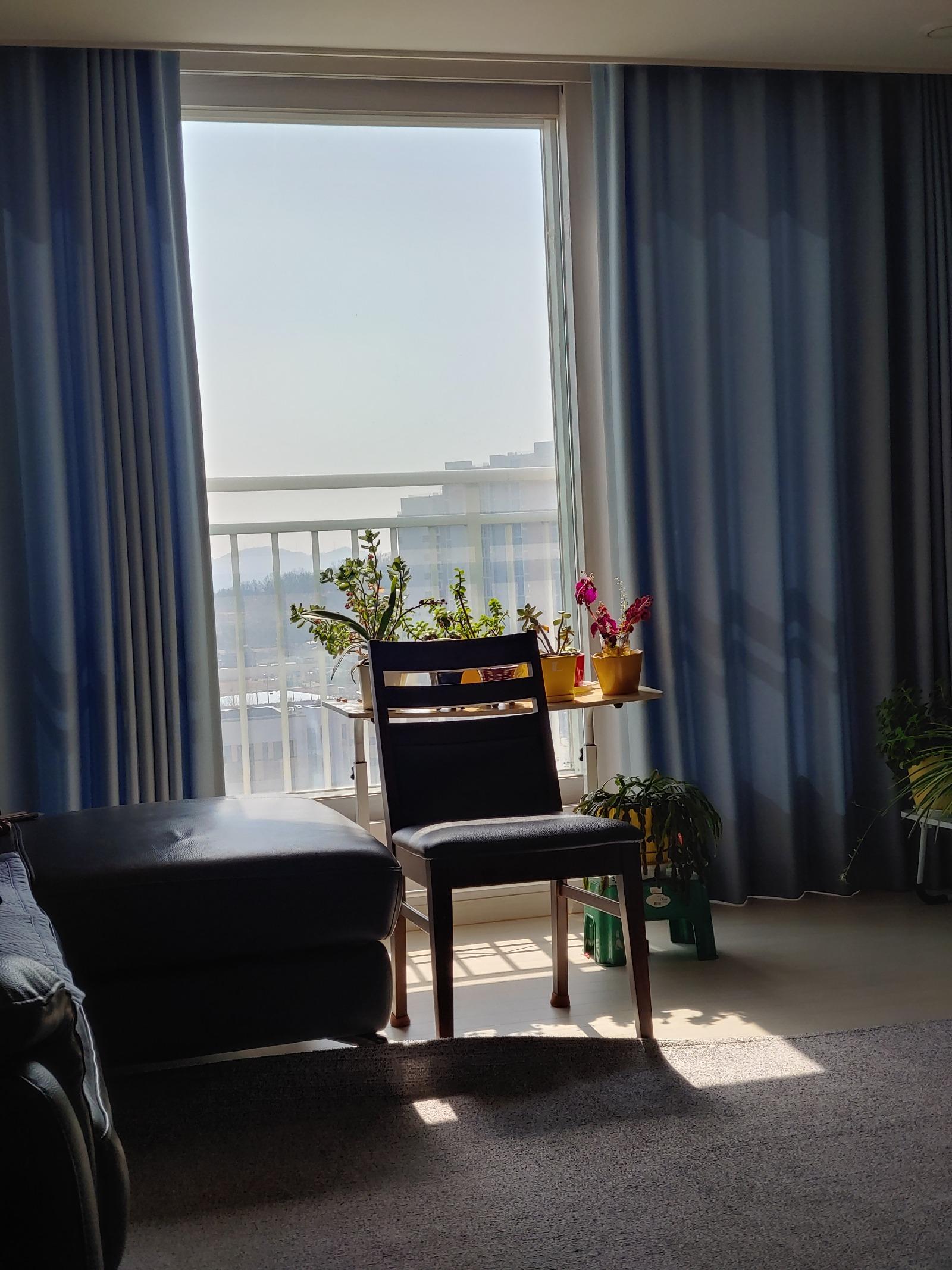 20260307_125505_HDR.jpg