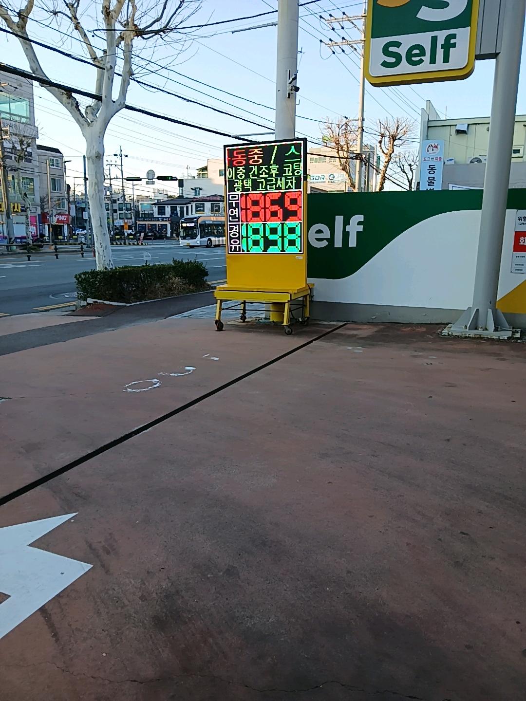 1000022114.jpg