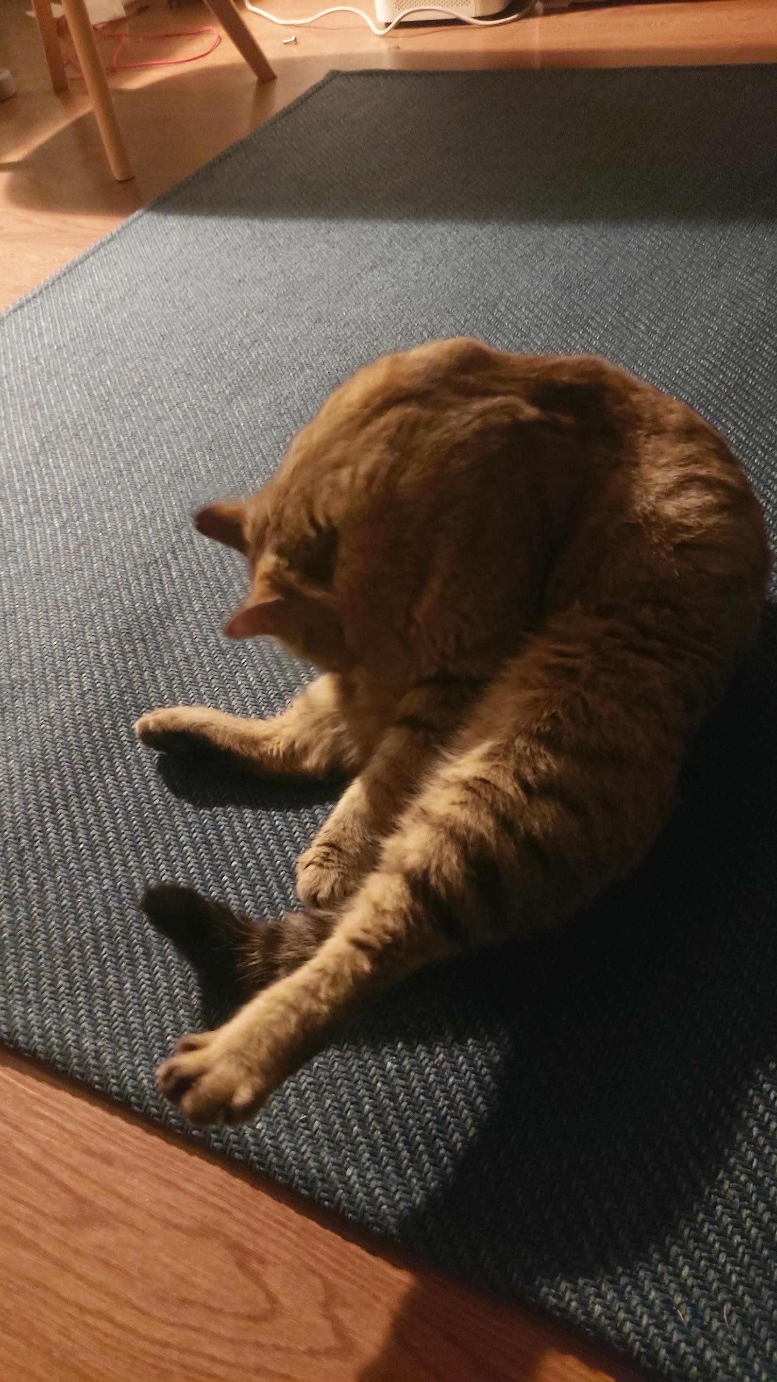 20260309_210943.jpg