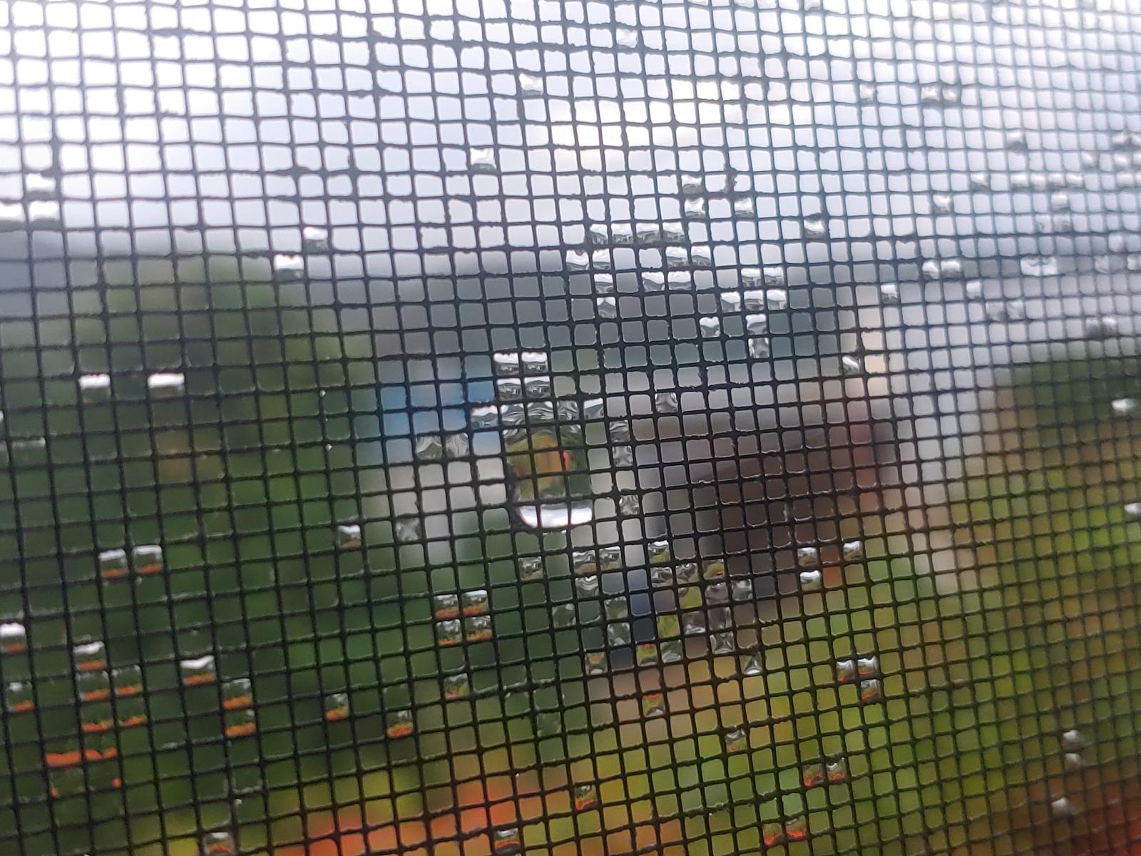 20250916_180903.jpg