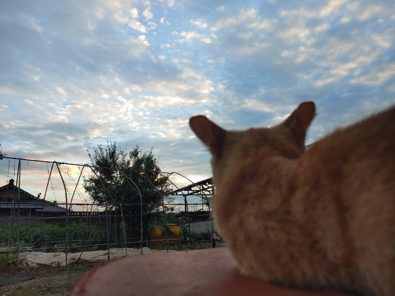 20250915_181758.jpg