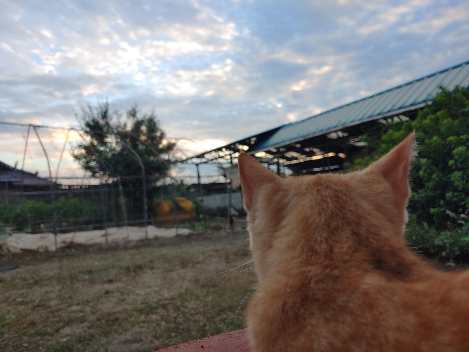 20250915_181719.jpg