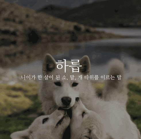 클릭하시면 원본 이미지를 보실 수 있습니다.