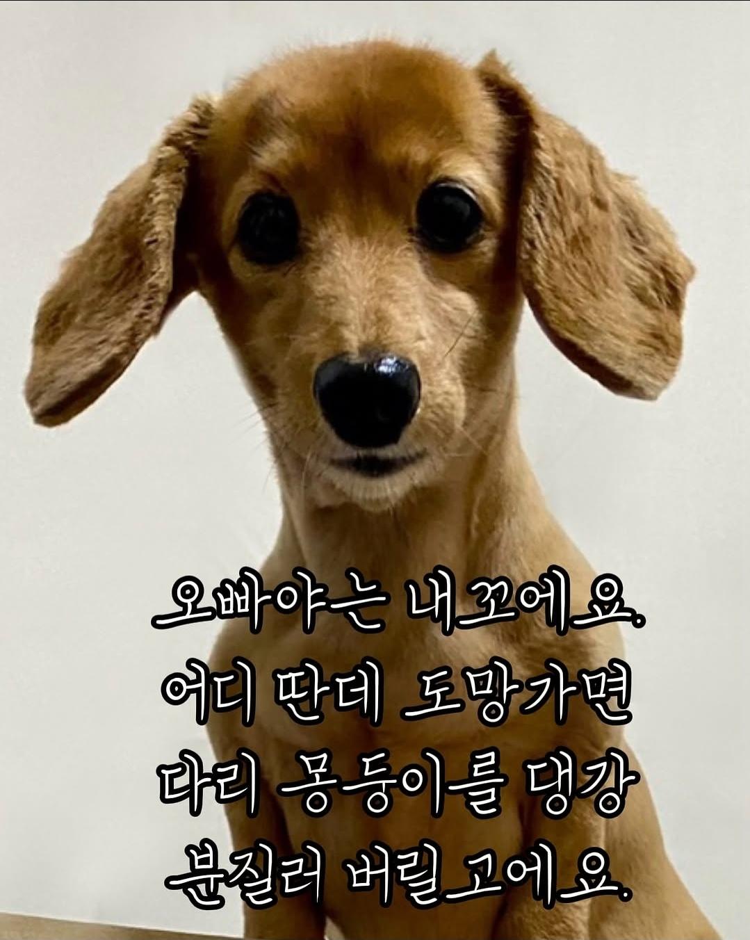 Screenshot_20251111_000141_Instagram.jpg