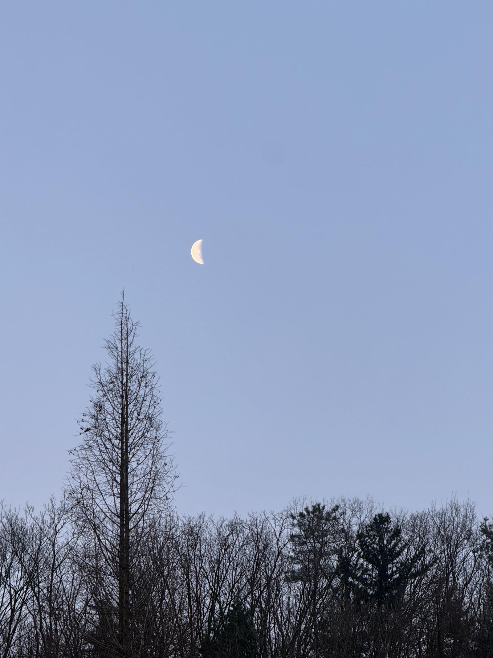 IMG_1904.jpeg