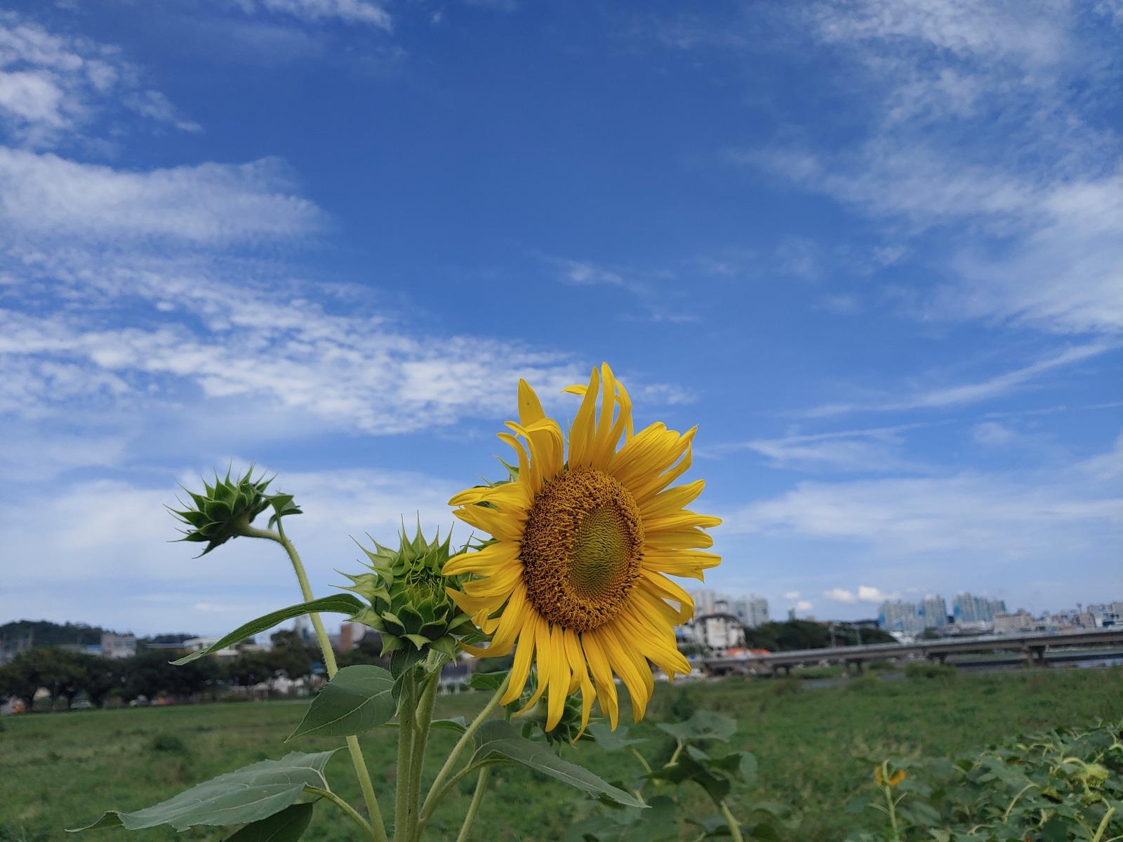 20250915_121626.jpg