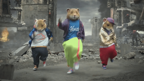 1000126839.gif