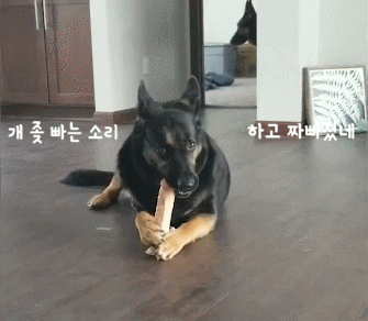 다운로드파일_20250922_053904.gif