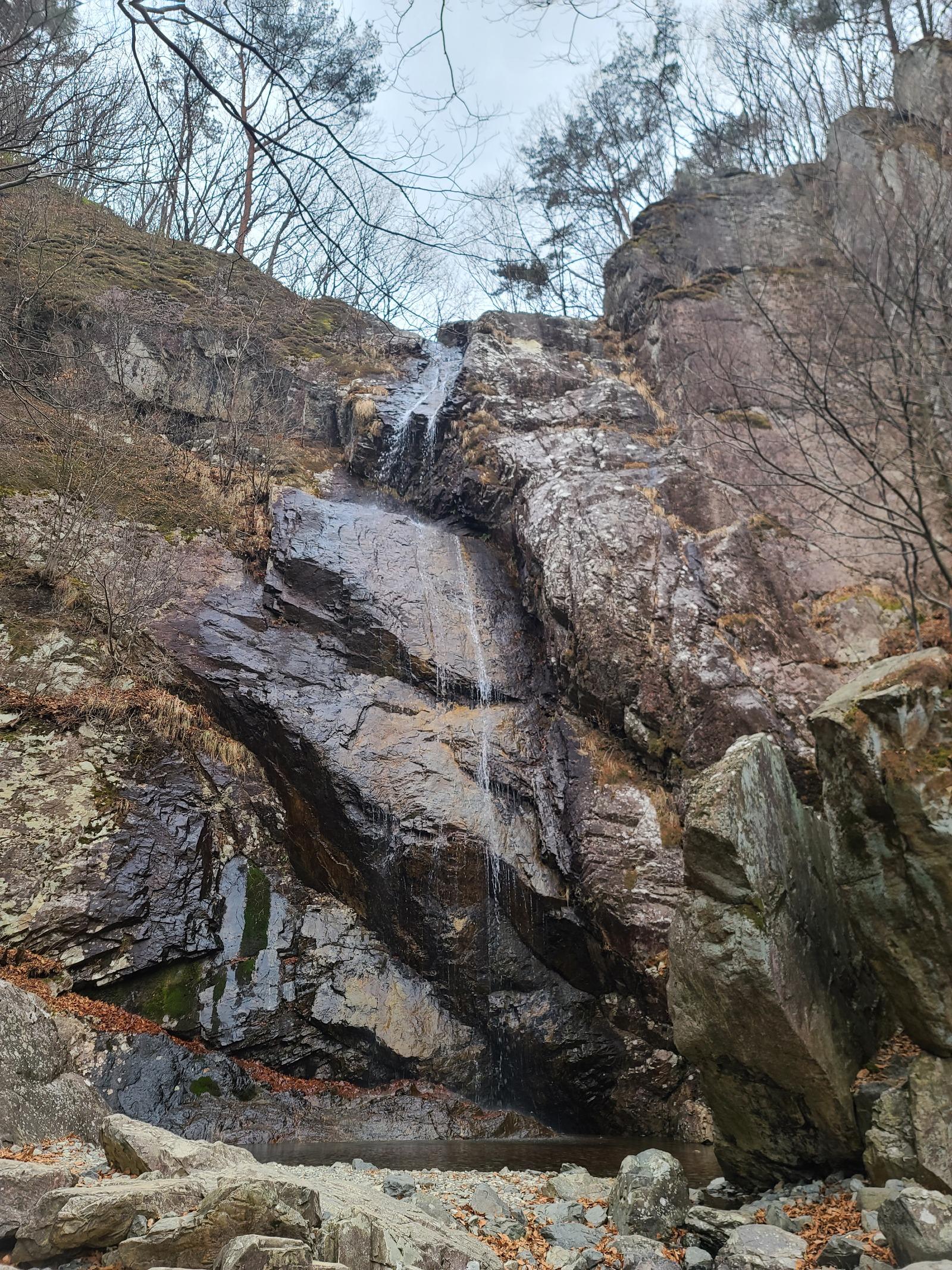 20260315_134036.jpg