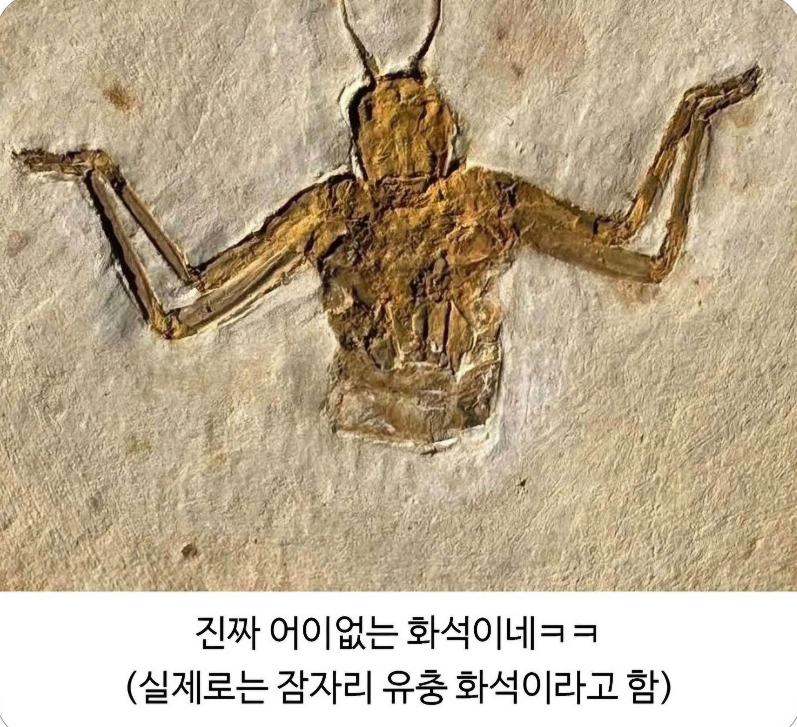 1062.jpg