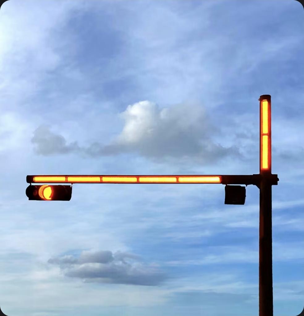 1000035265.jpg