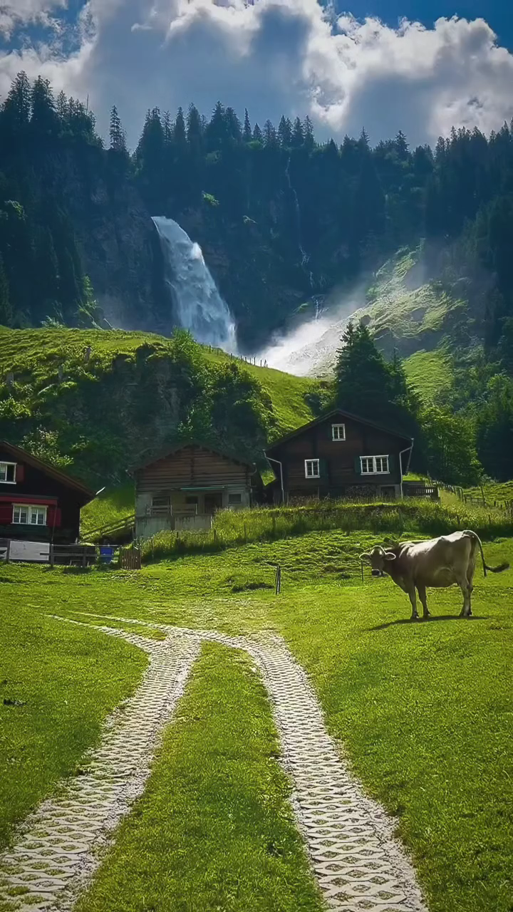 screenshot_AQOva4ahqbYk59OdLtGRkjLYgYBqCLKR33Nr4LioBCbvRXPcTSjRo3HvR91DBamN3AmUgbReijgMd4PnFh1aJ-CNFahdfHgXXyqwp9Q_1774080167274.png