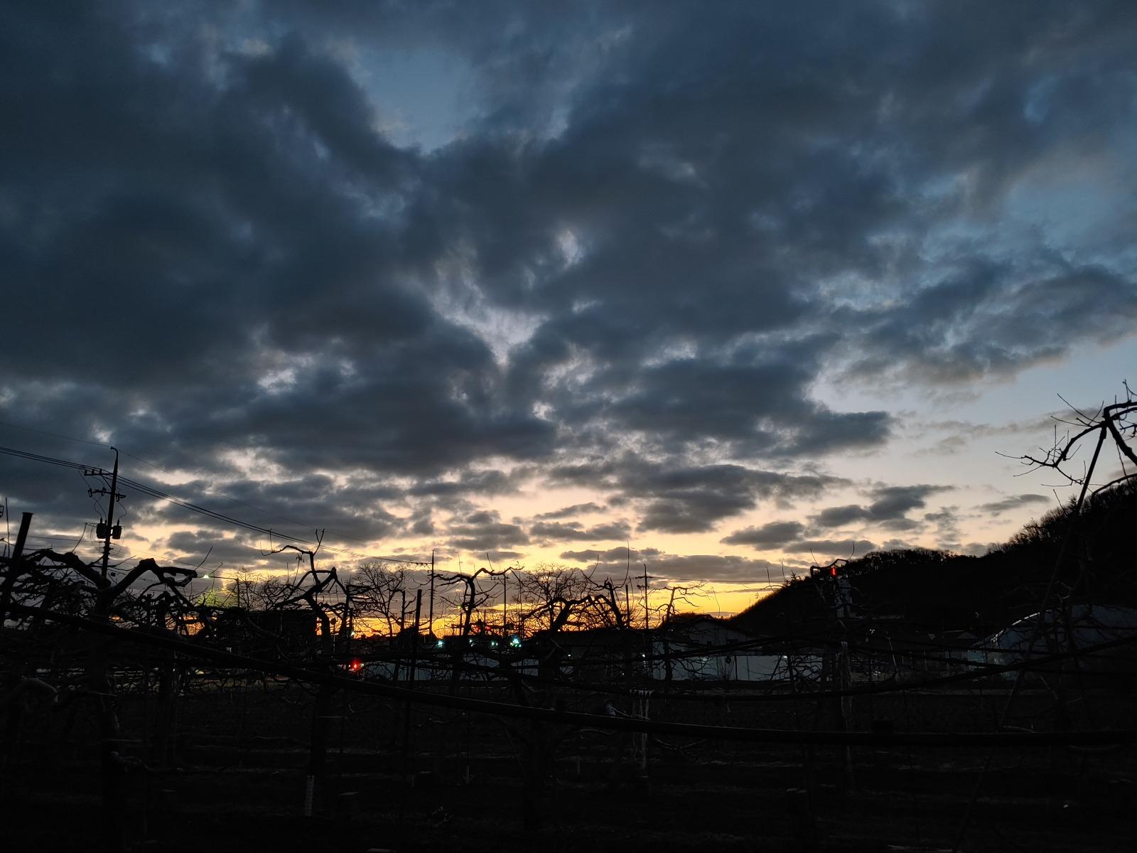 20260225_183827_HDR.jpg