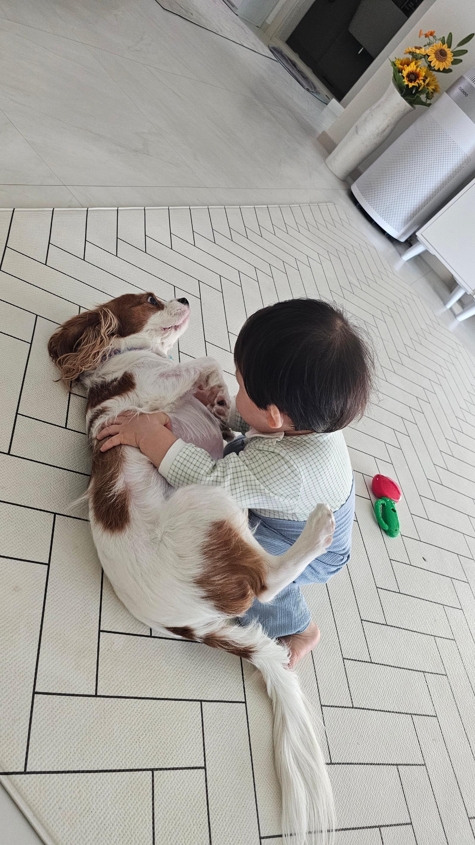 배깔기.jpg