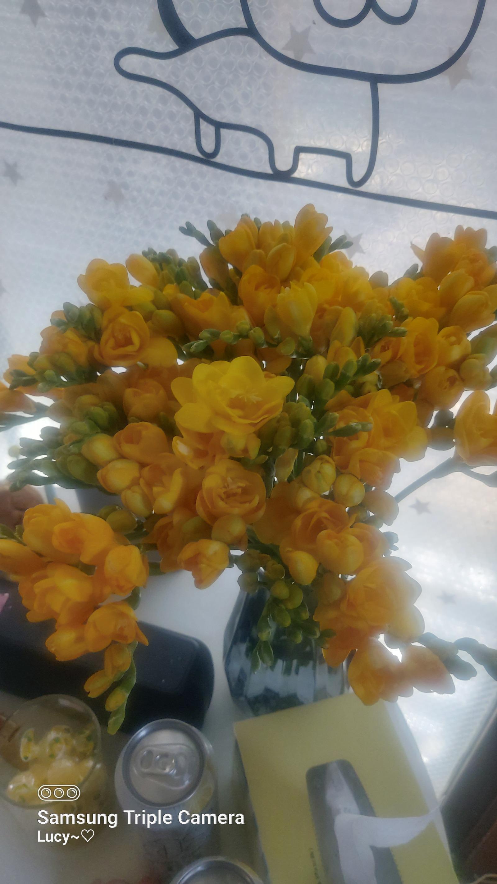 20260324_103014.jpg