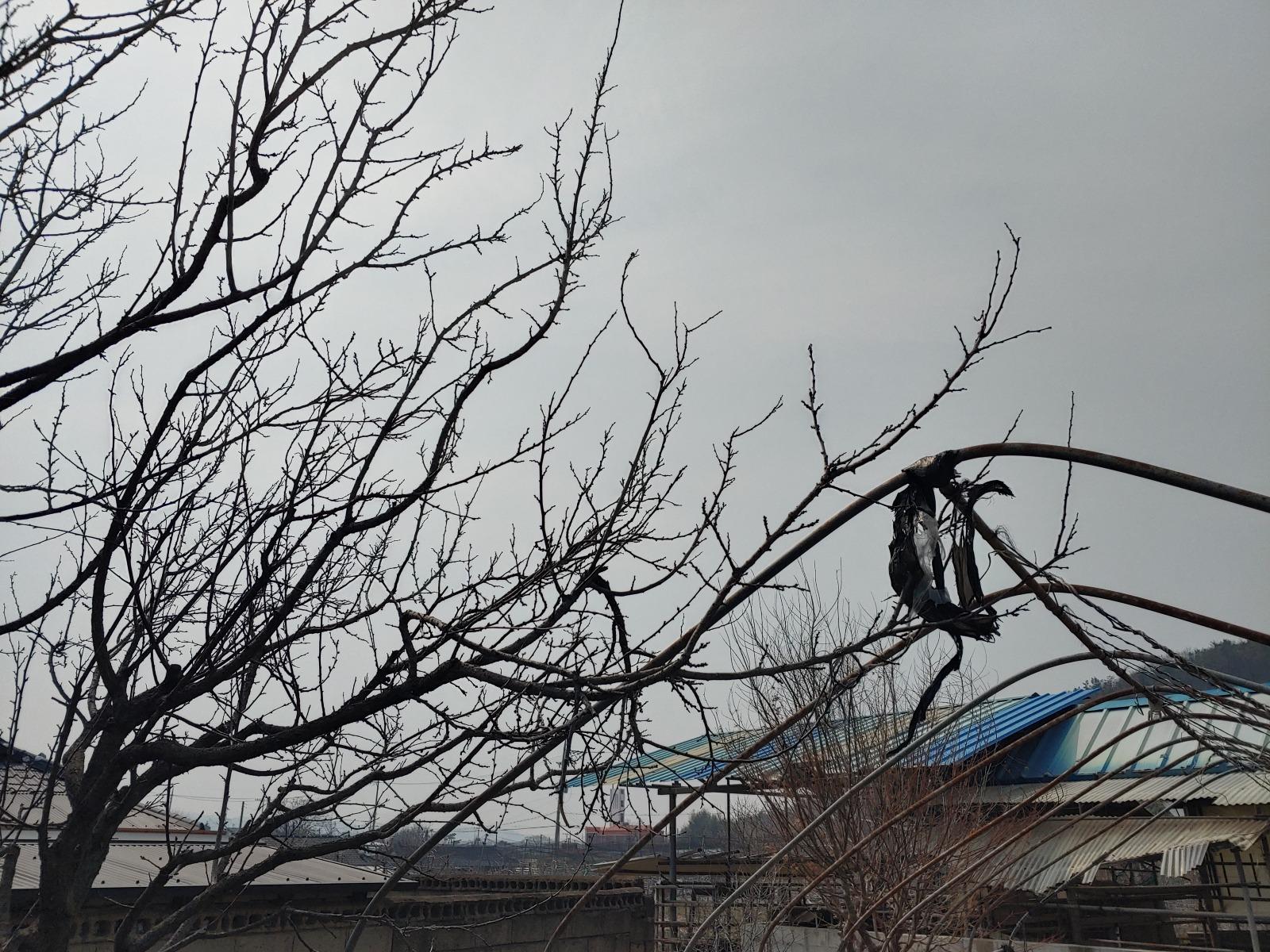 20260324_133800_HDR.jpg