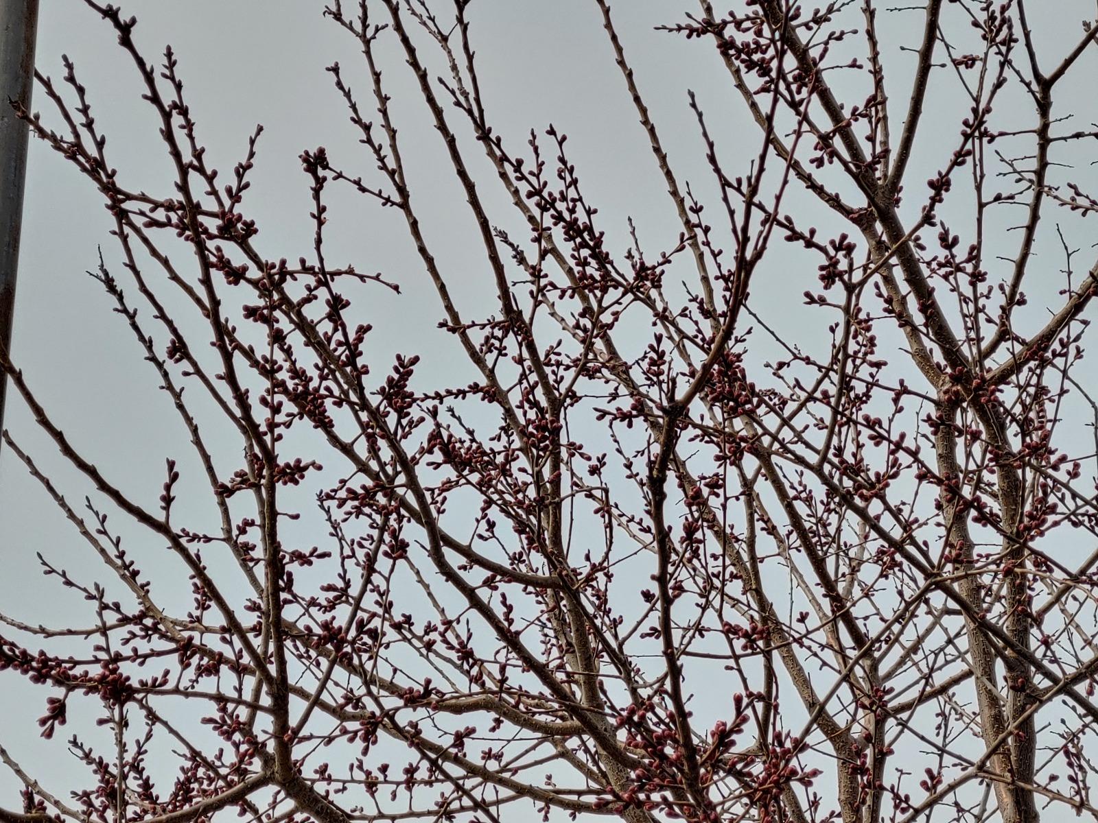 20260324_134027_HDR.jpg