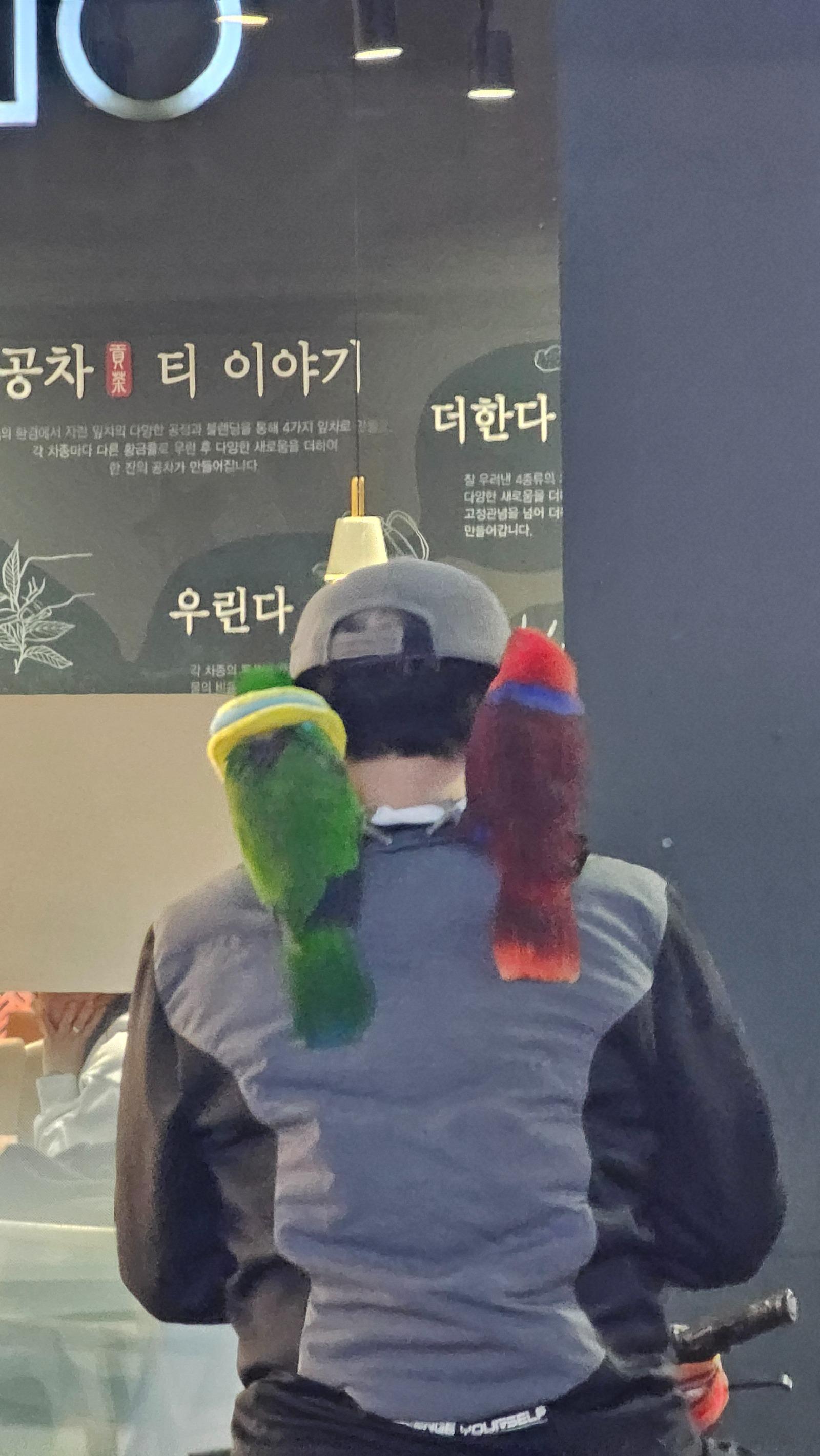 클릭하시면 원본 이미지를 보실 수 있습니다.