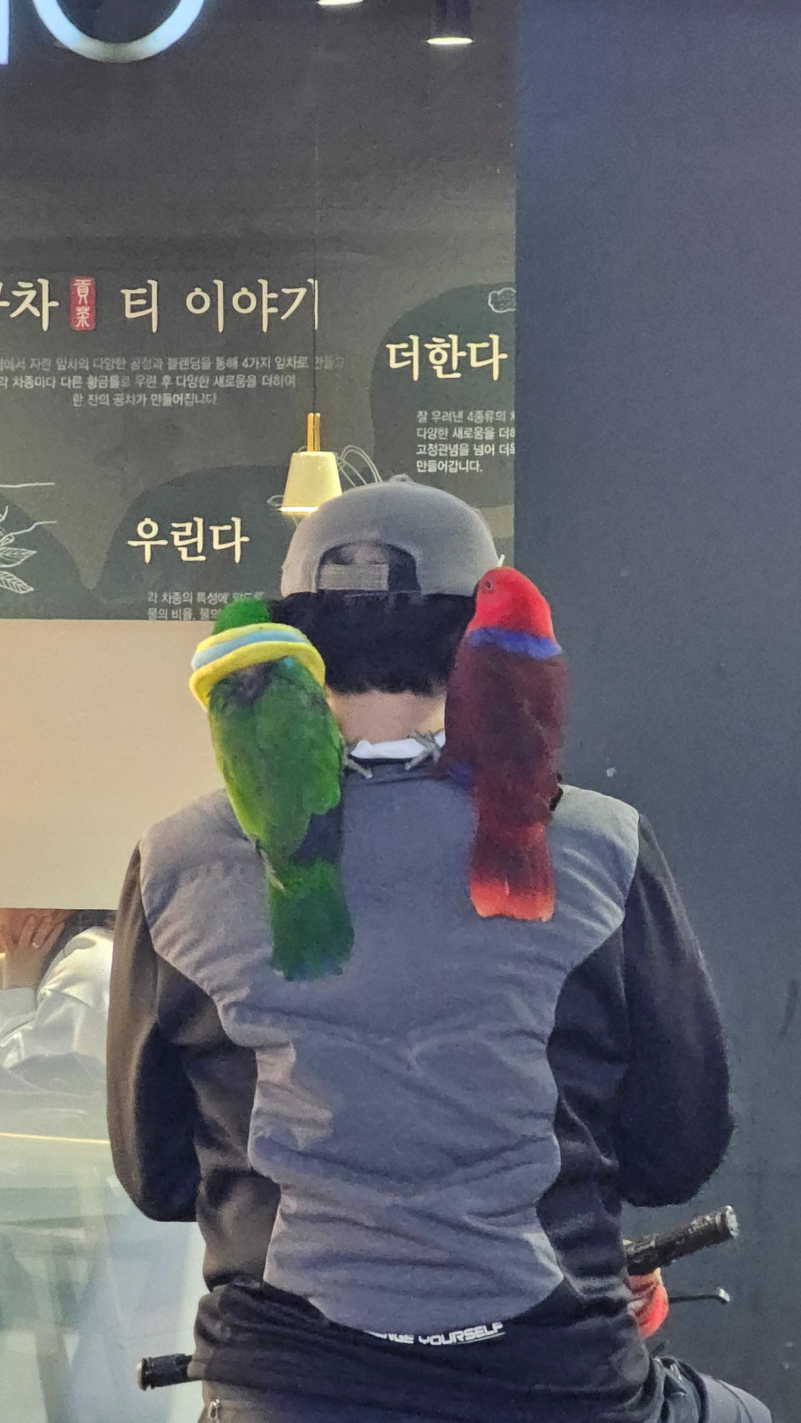 클릭하시면 원본 이미지를 보실 수 있습니다.