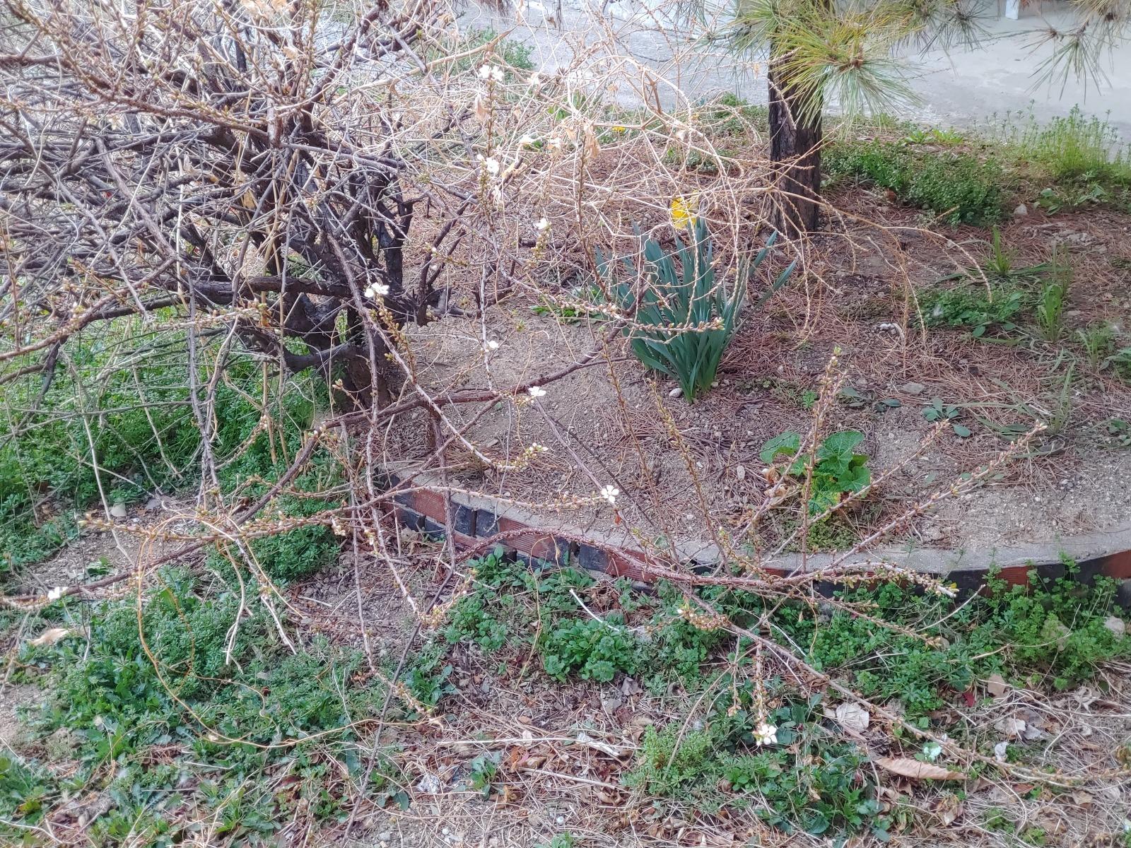 20260327_173515.jpg
