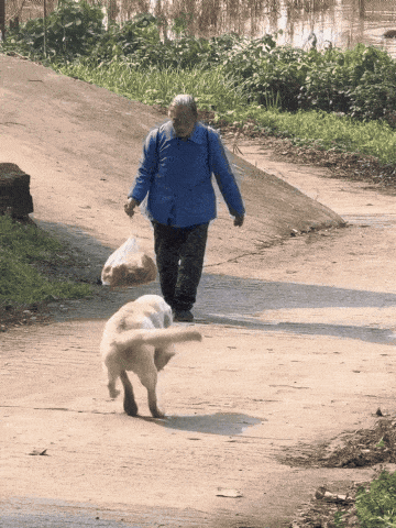 BhxJ1772087583_1150580478.gif