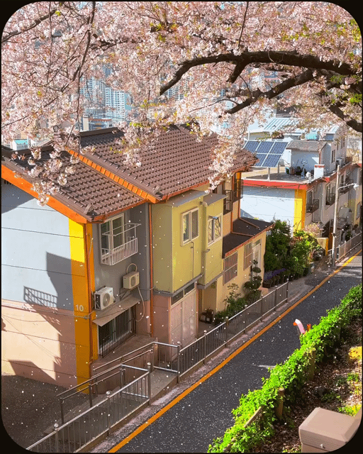 1000067474.gif