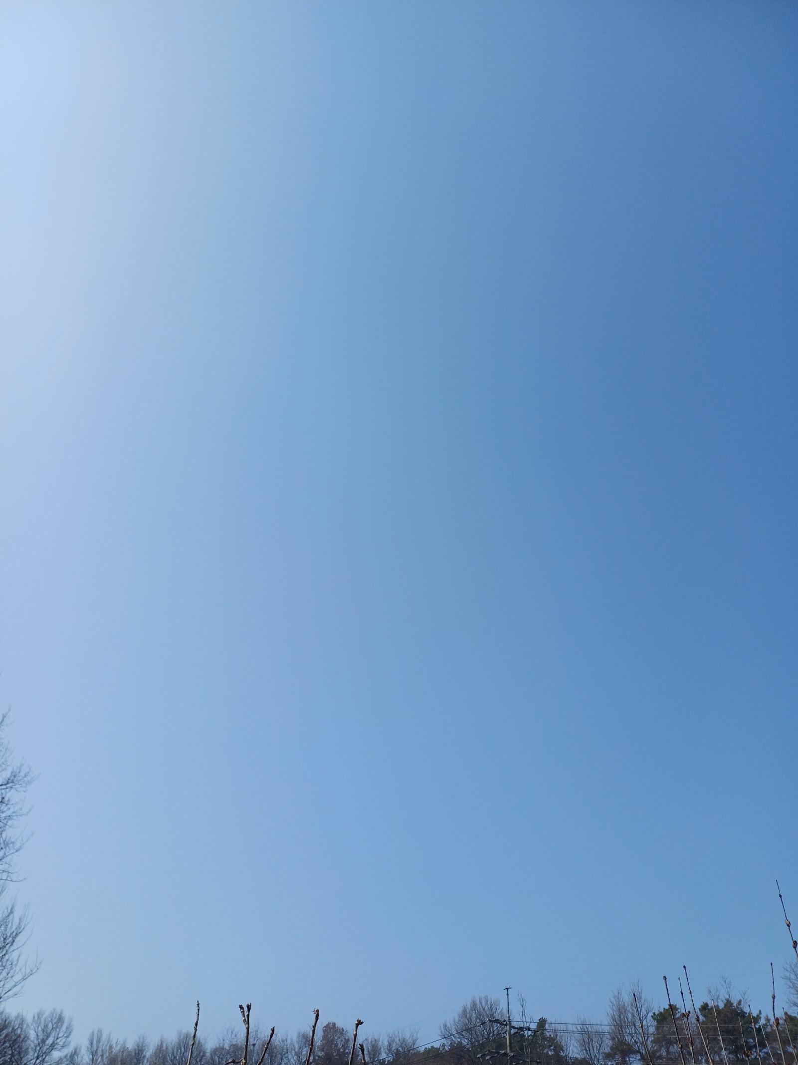 1774660076411.jpg