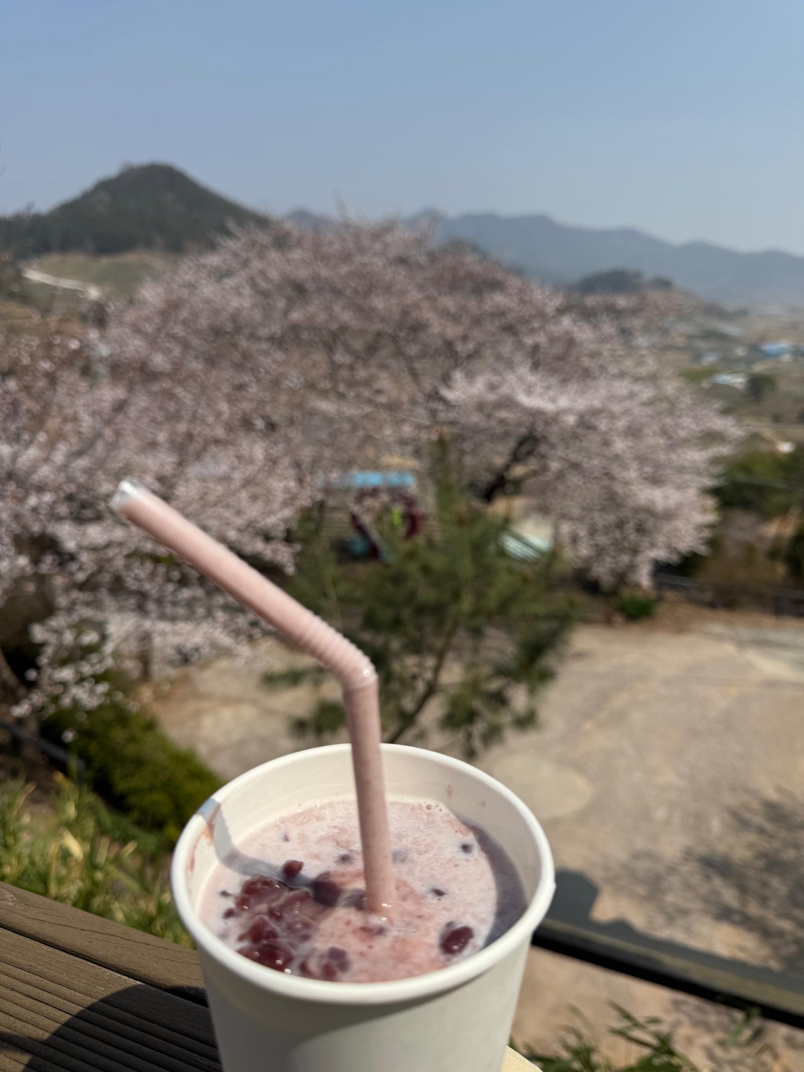 IMG_2498.jpeg