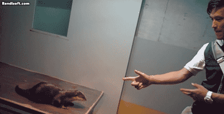 Honeycam 2026-03-28 21-42-45.gif