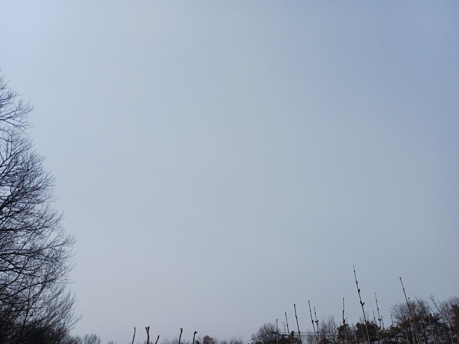 1774746009639.jpg