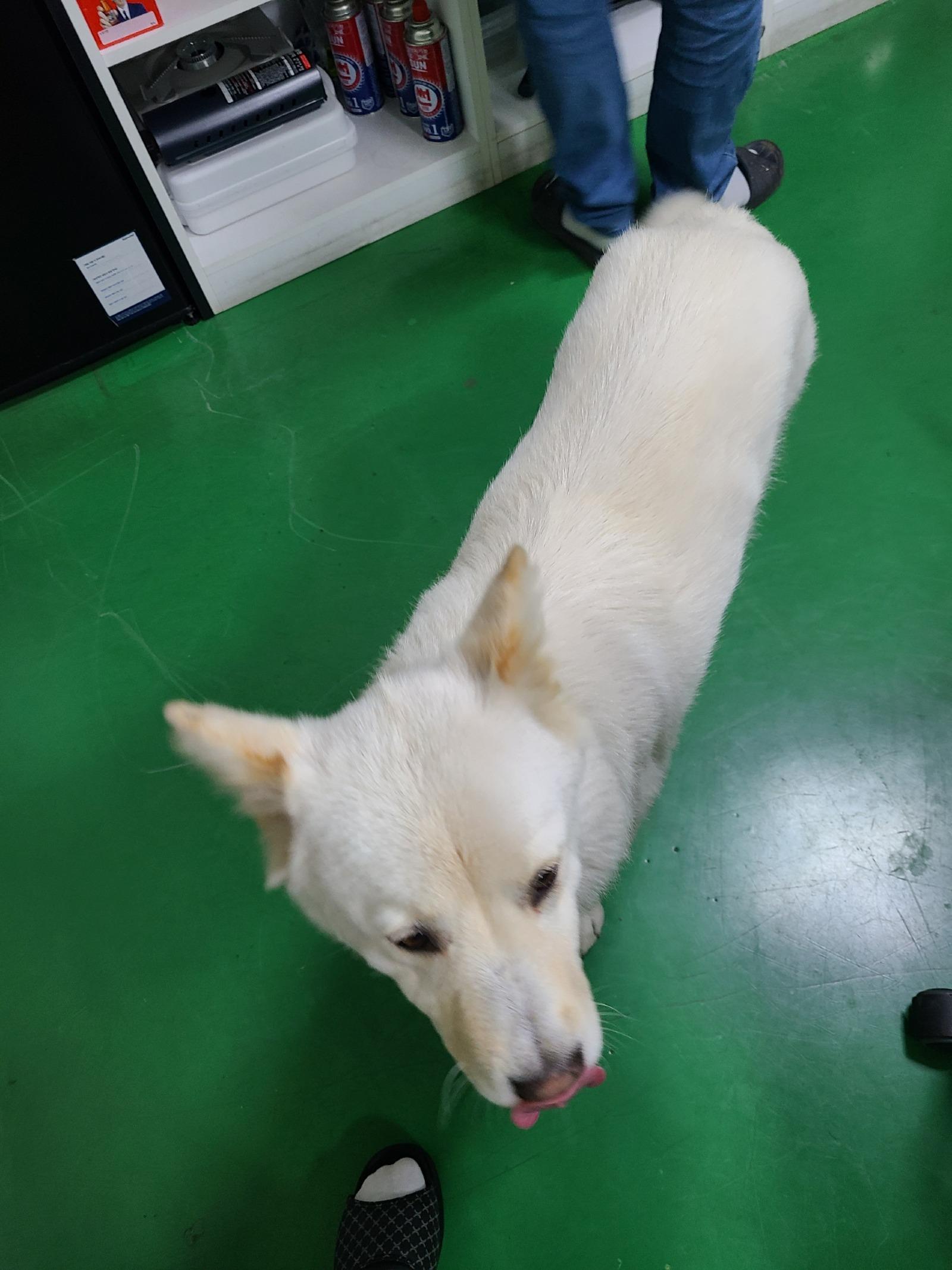 KakaoTalk_20260329_185813752.jpg