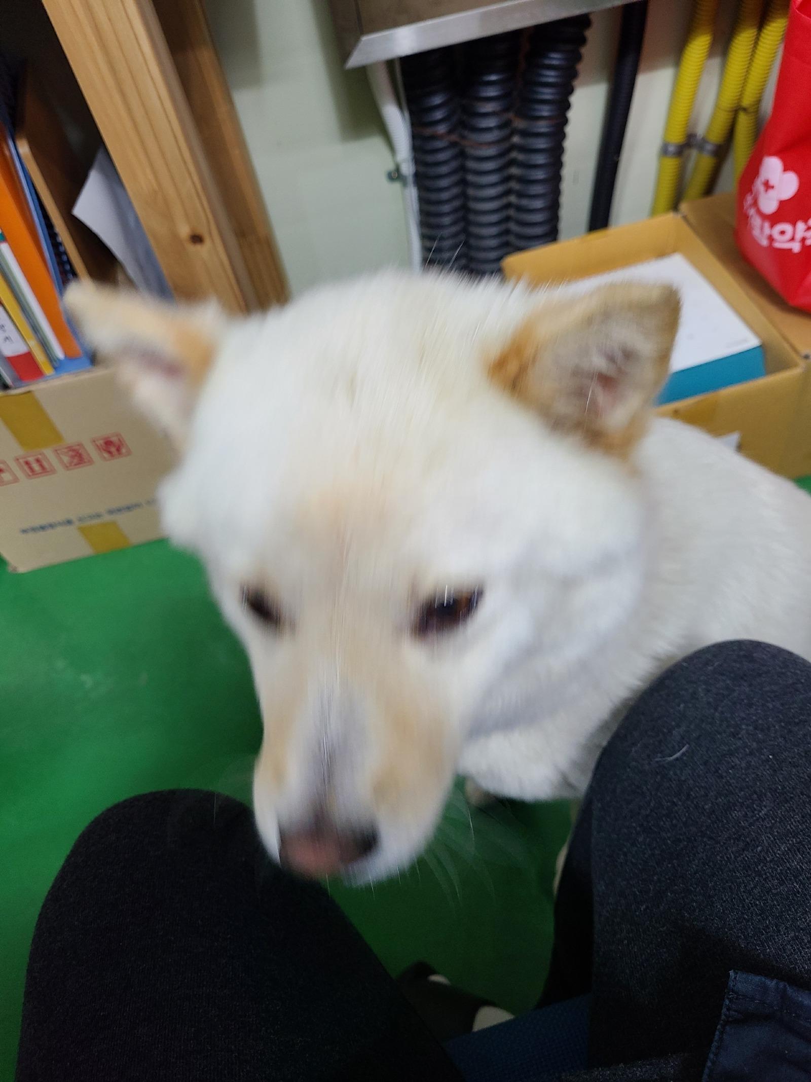 KakaoTalk_20260329_185813752_01.jpg
