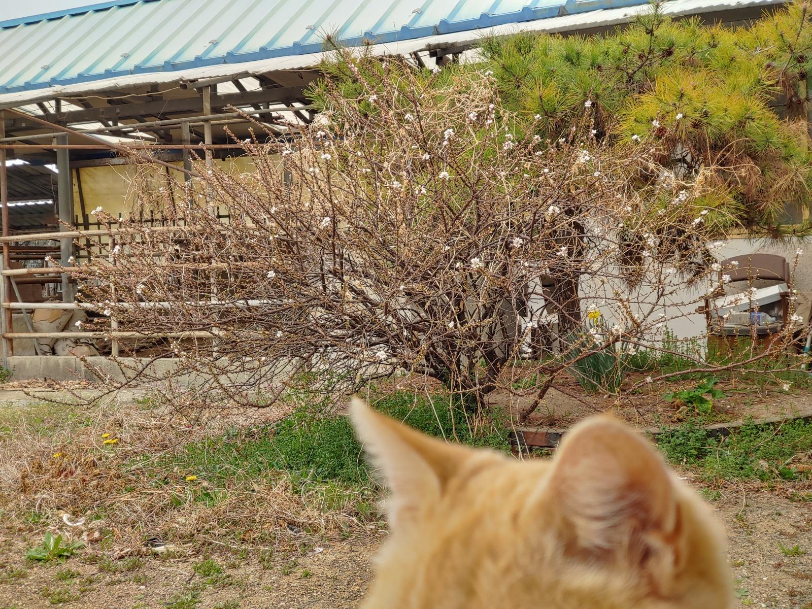20260330_095442_HDR.jpg