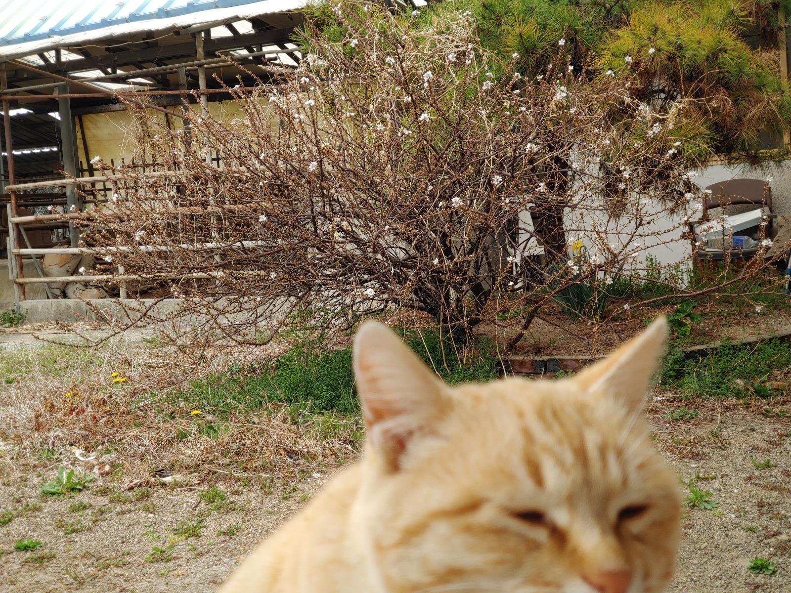 20260330_095343.jpg
