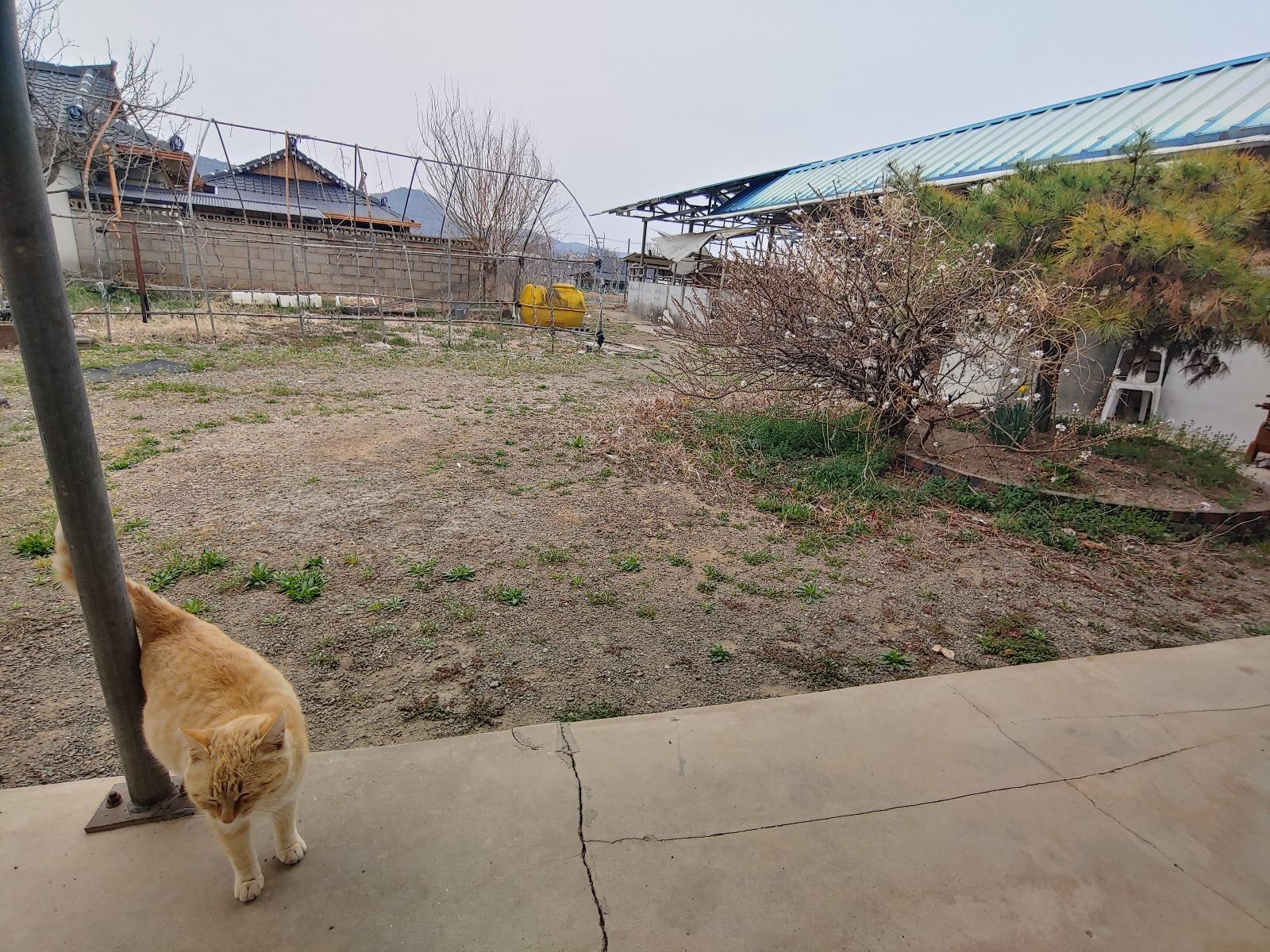 20260330_095245_HDR.jpg