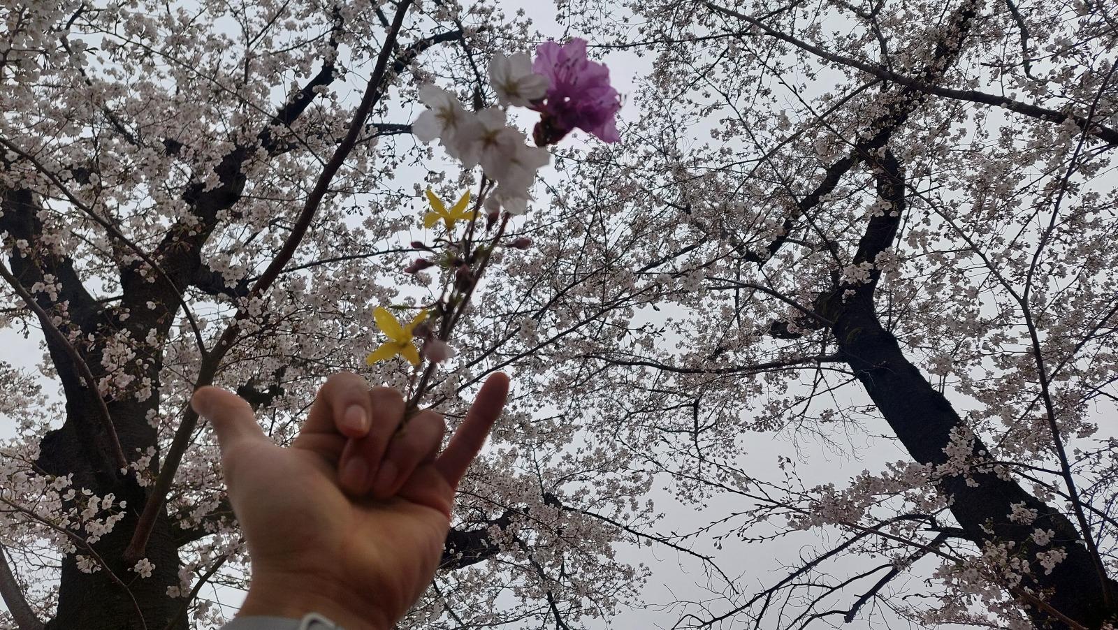 KakaoTalk_20260330_120905038_01.jpg