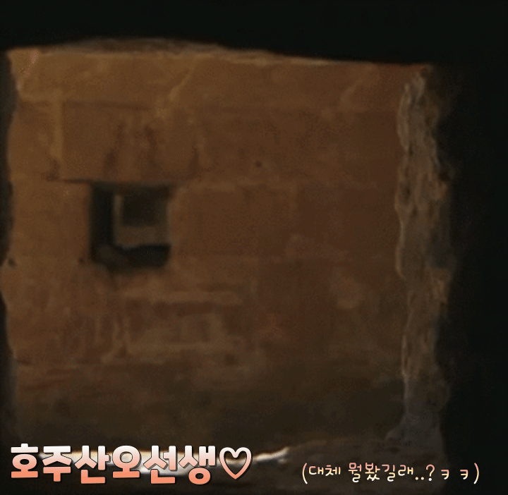 vmfw1586693397_964286899.gif