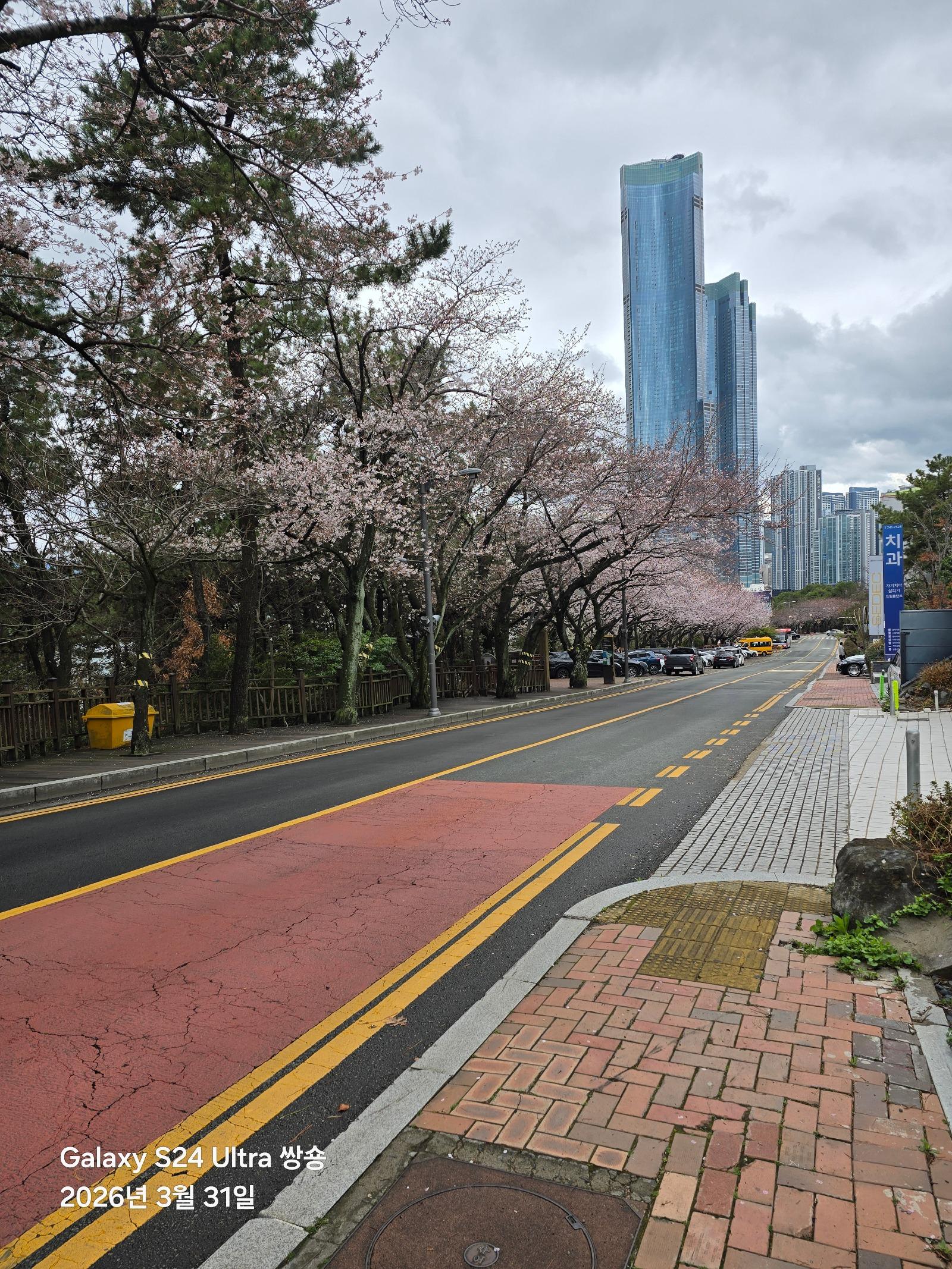 KakaoTalk_20260331_093826594.jpg