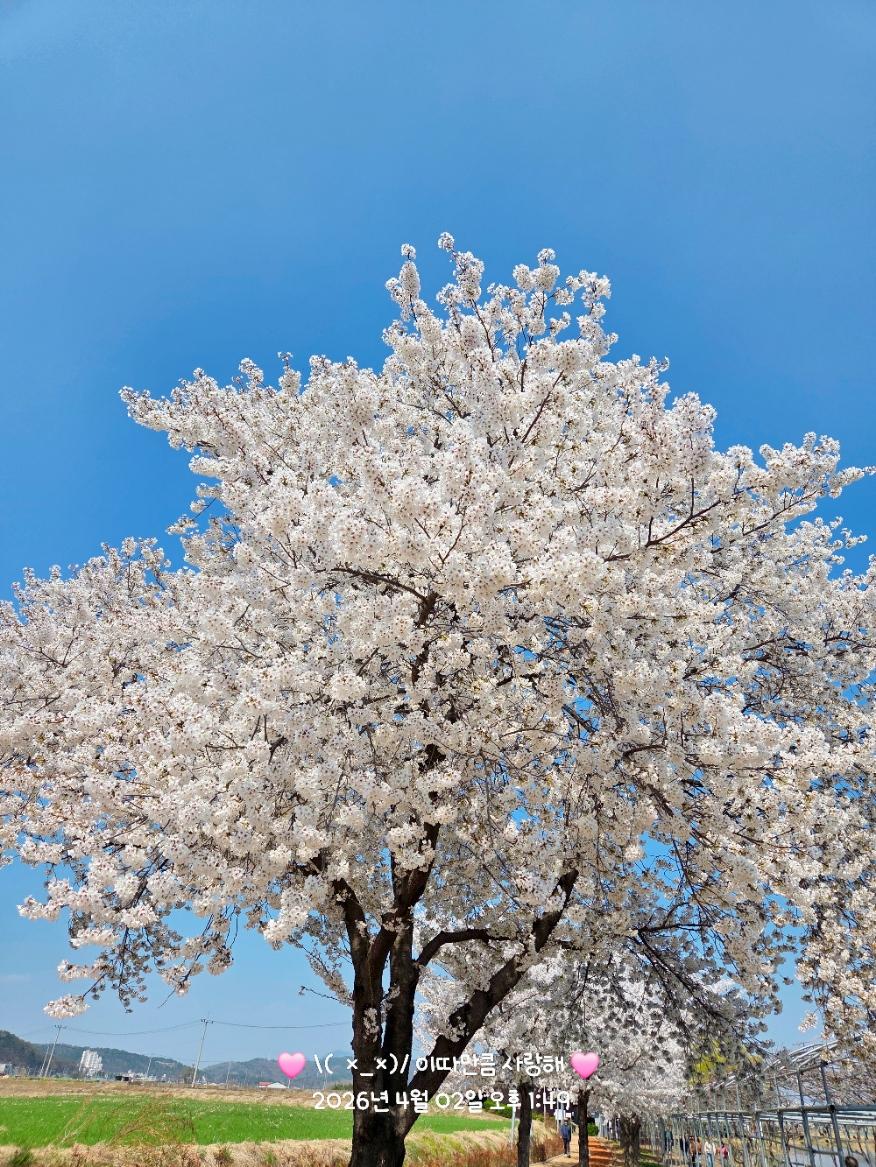 SNOW_20260402_142143_157.jpg