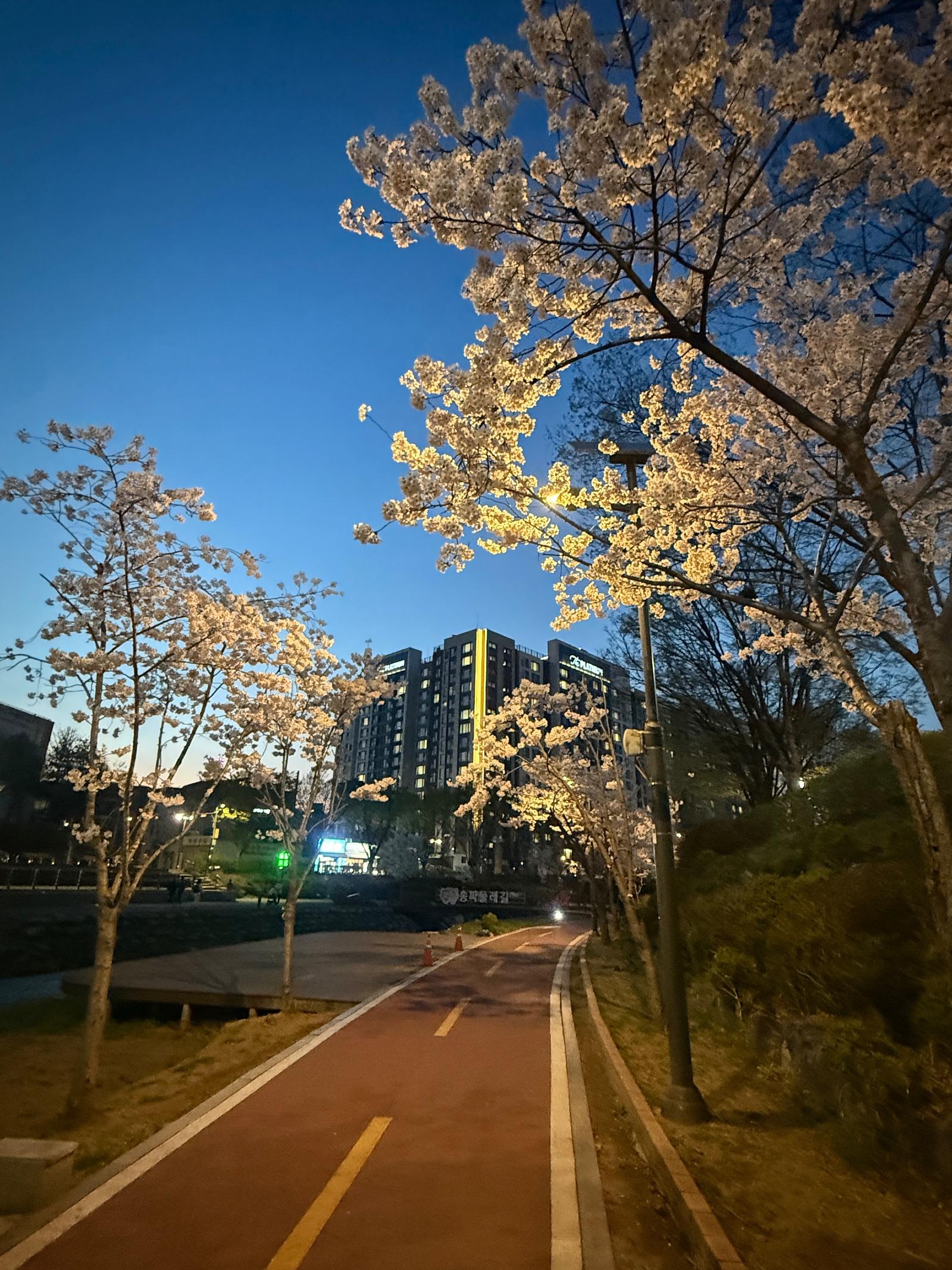 IMG_6181.jpeg