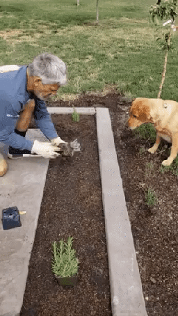 AgQW1687165210_1141128089.gif