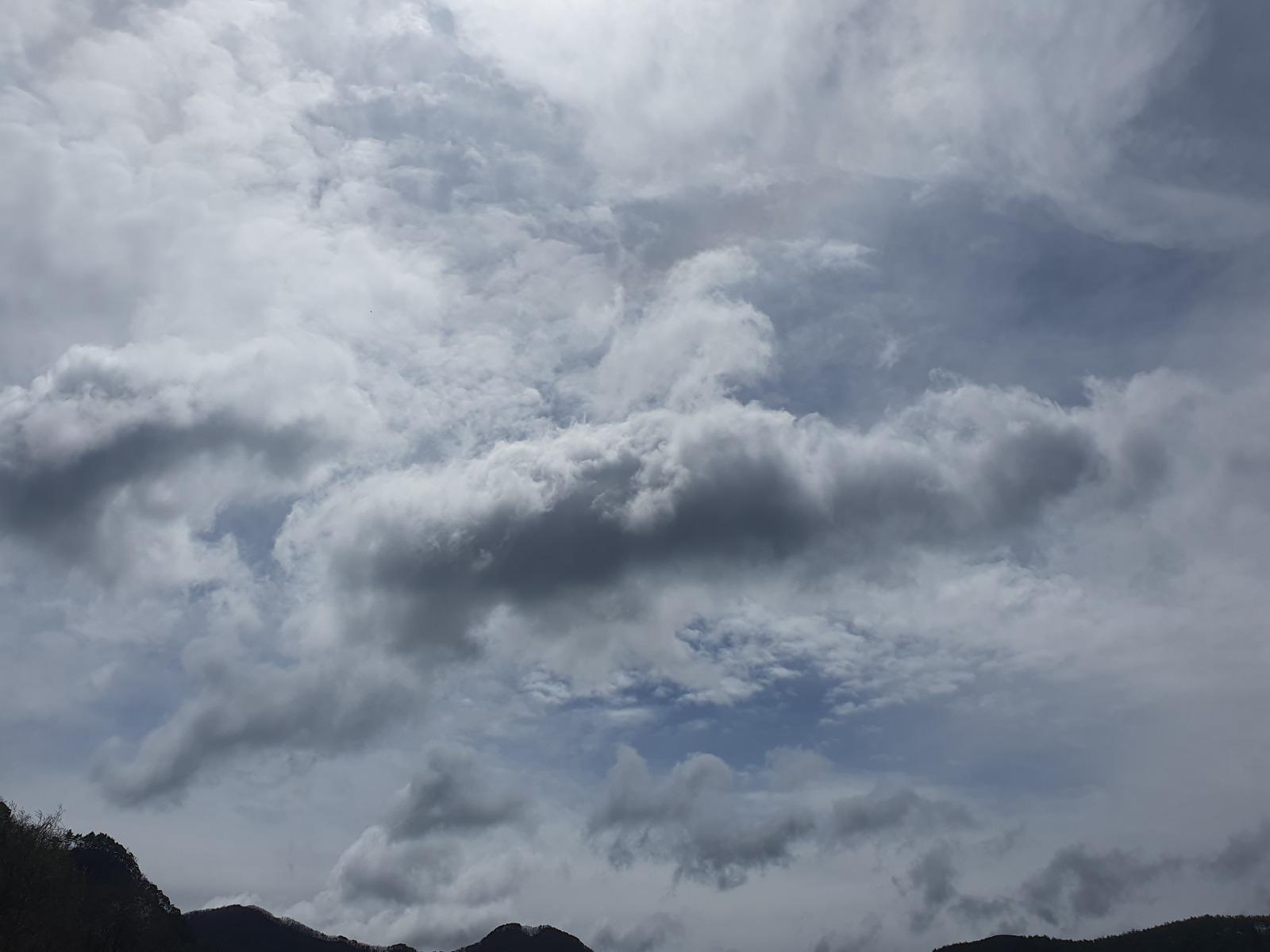 20260404_122013.jpg