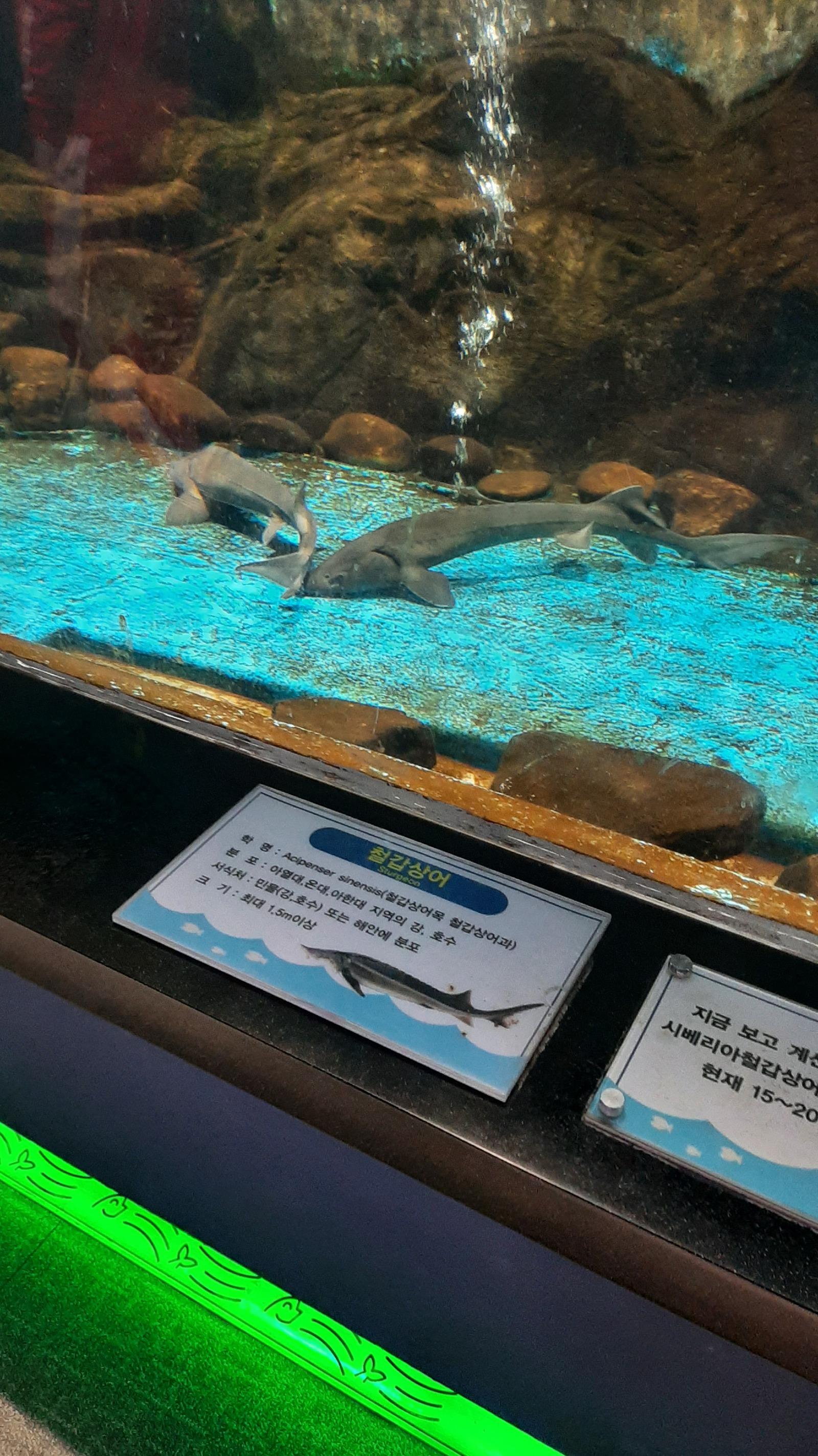 20260404_115529.jpg