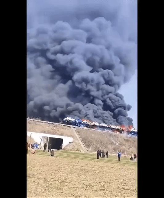 20260403135252_j8fIm8kkFg.gif