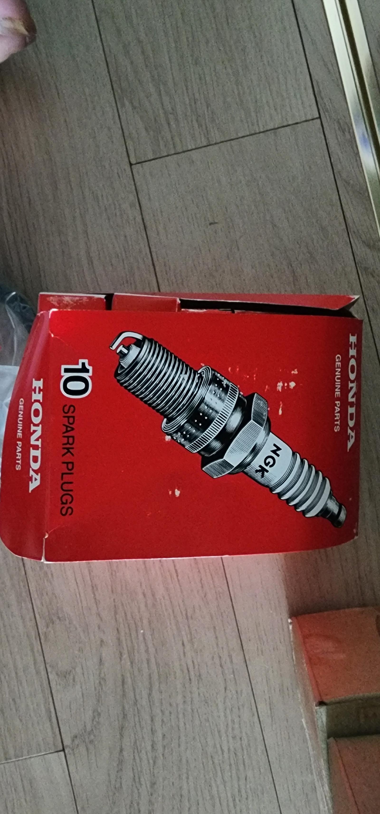 1000054945.jpg