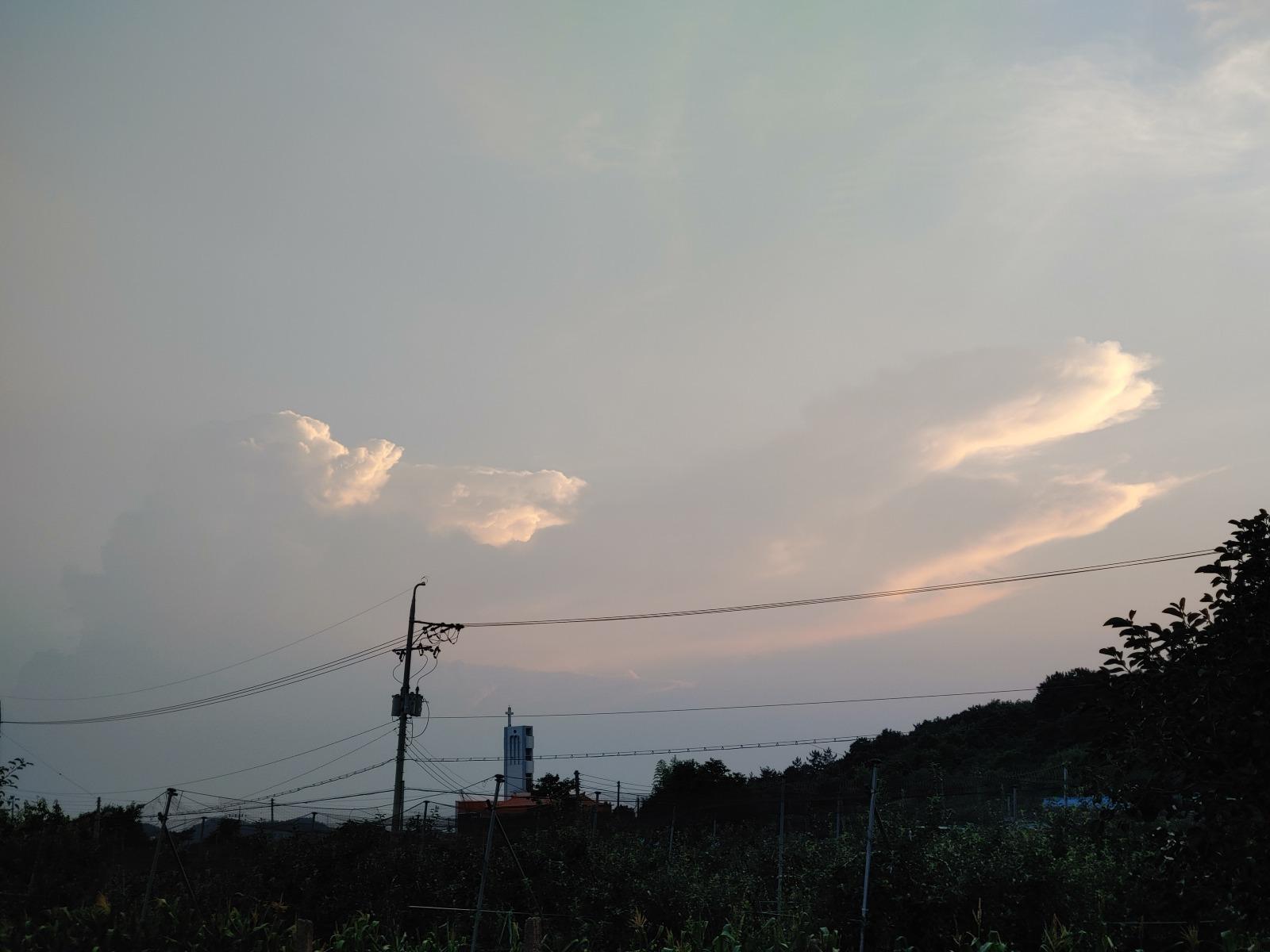 20250707_193243.jpg