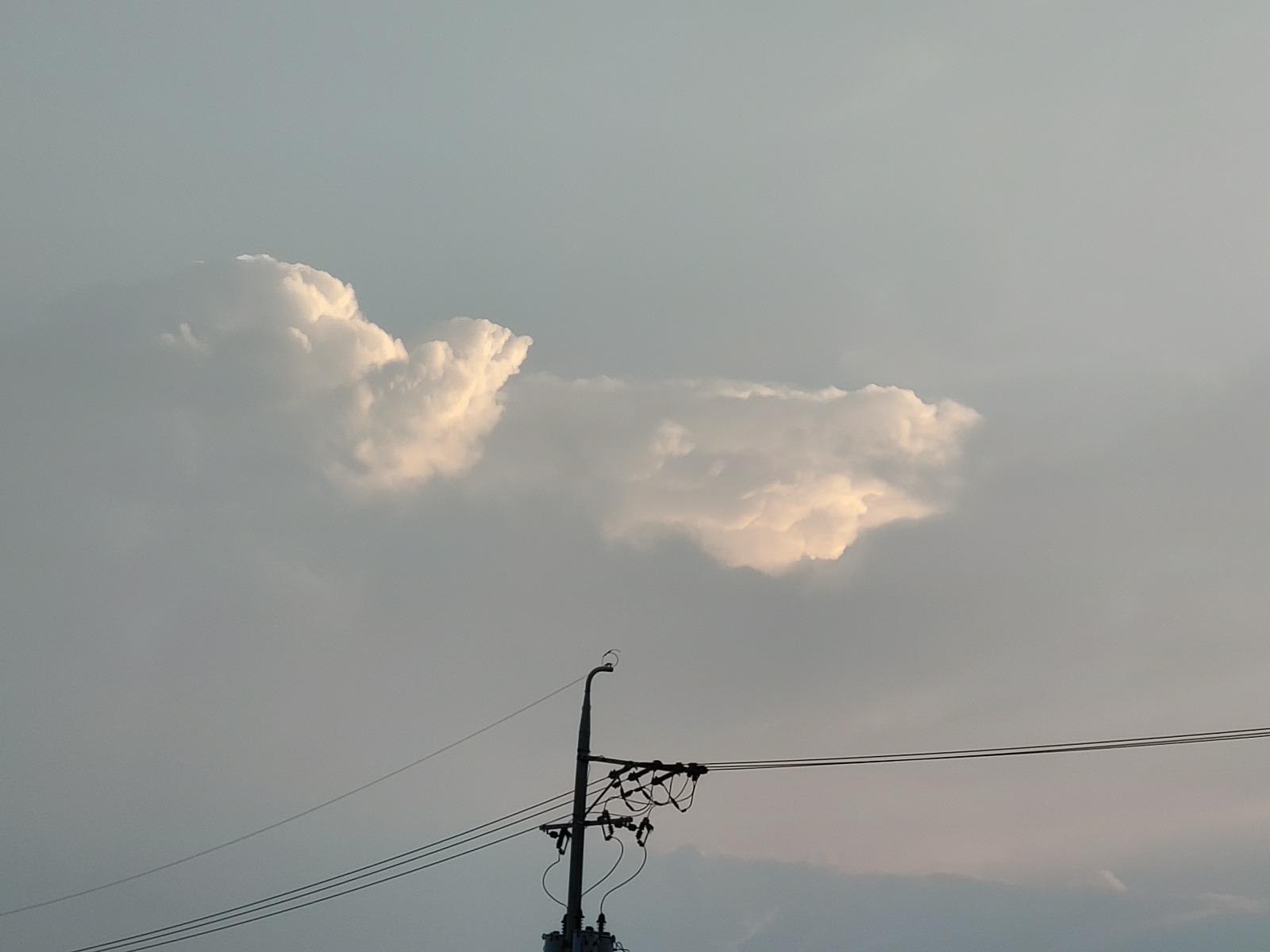 20250707_193230.jpg