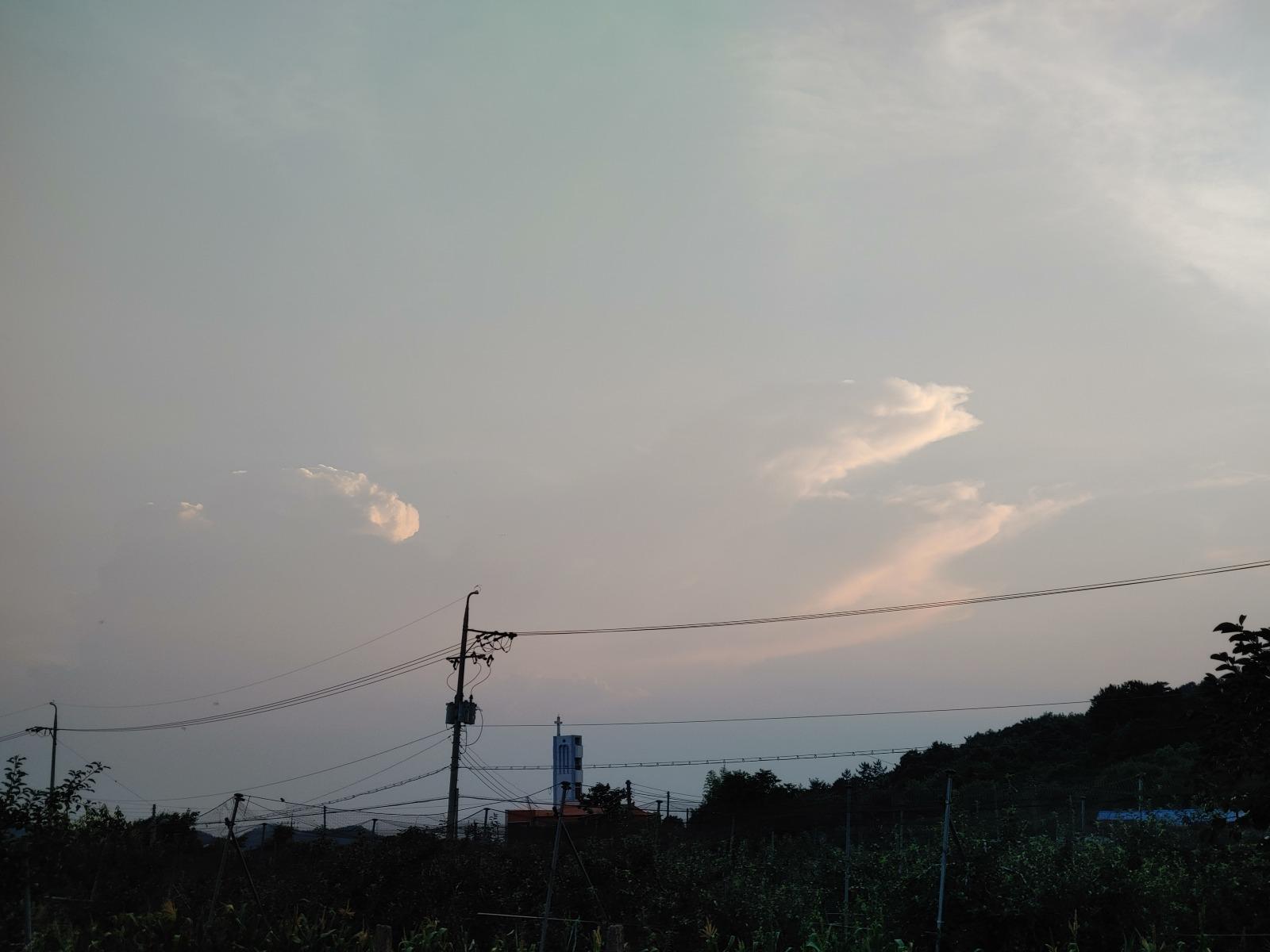 20250707_192542.jpg