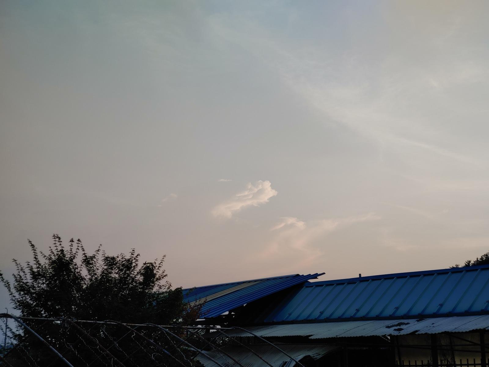 20250707_191842.jpg