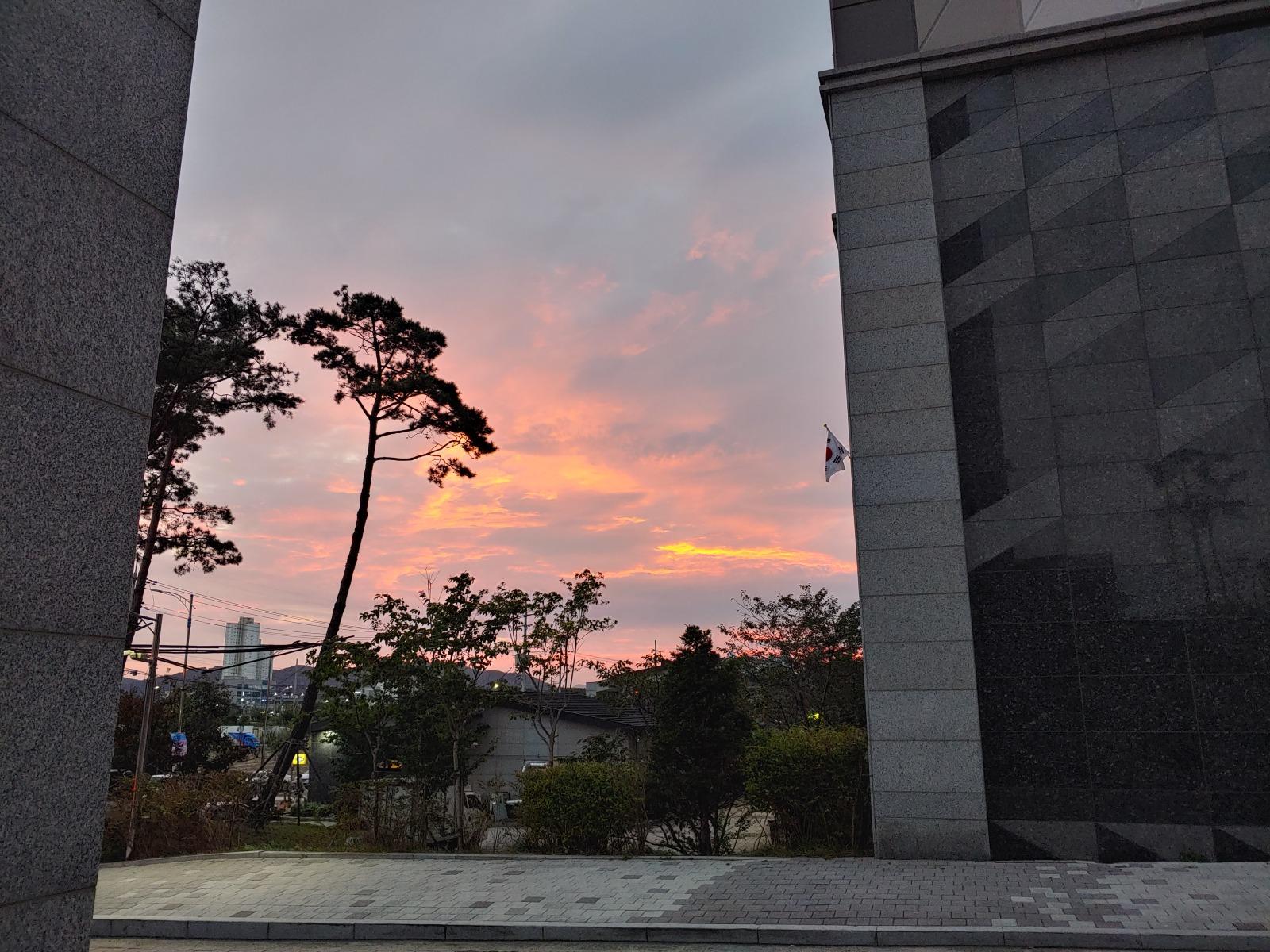 20251010_175857_HDR.jpg